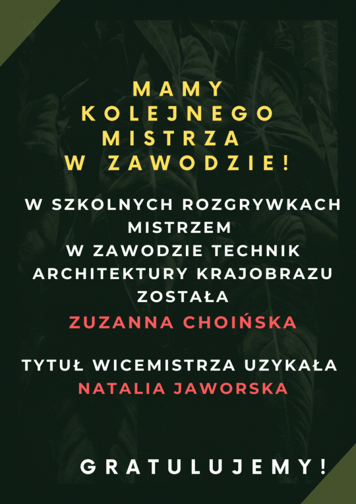 MISTRZ w zawodzzie (1)